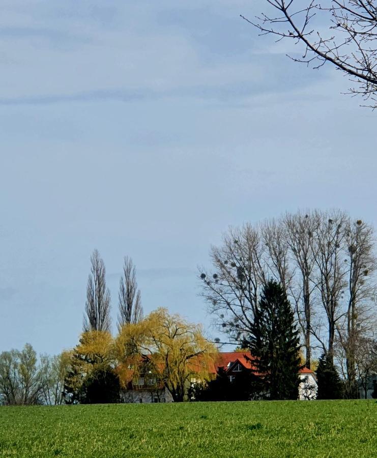 Ferienobjekt Zielow Müritz FeWo 12 Möwe Exterior foto